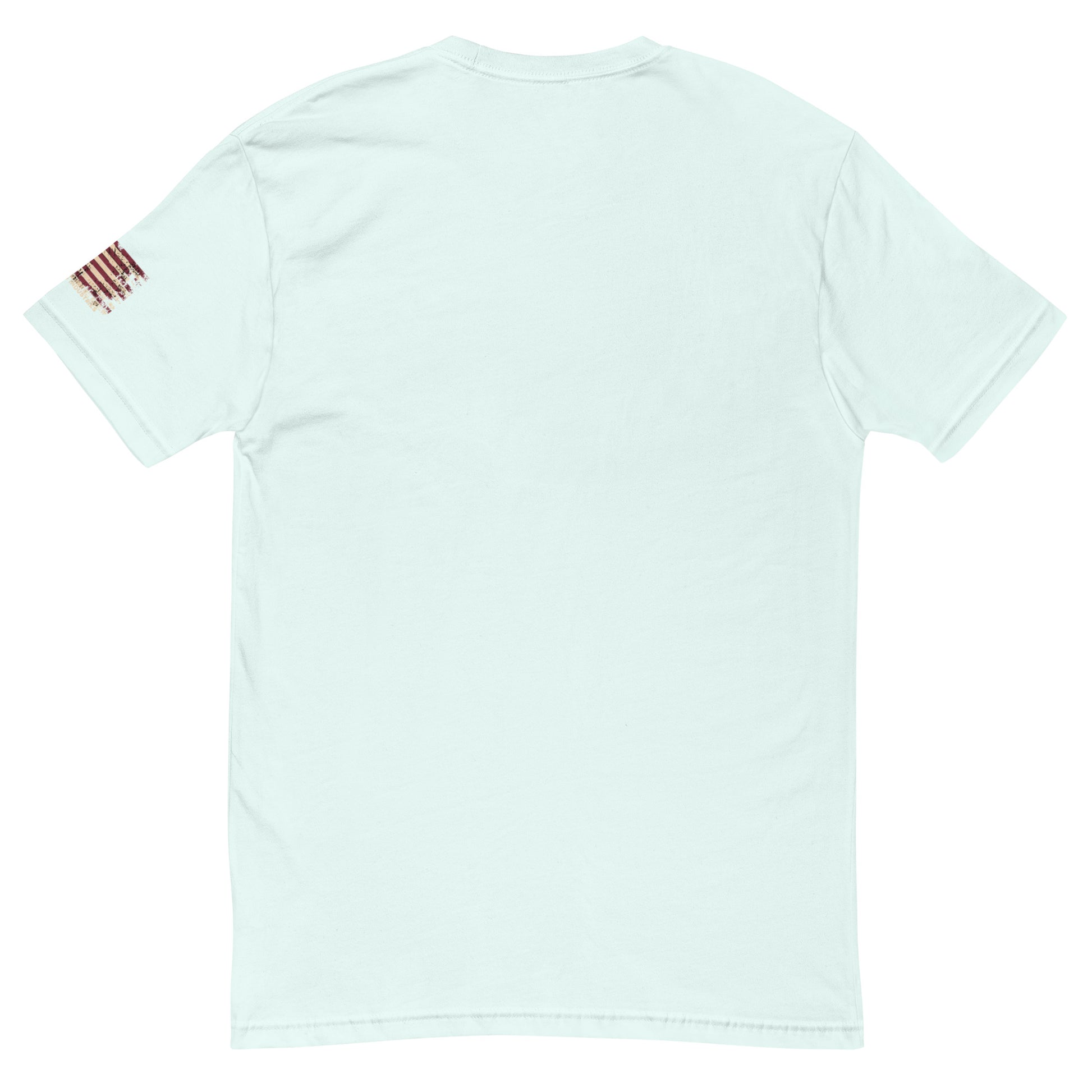 Flashbang Black Logo T-shirt featuring American flag graphic - Back View - Light Blue