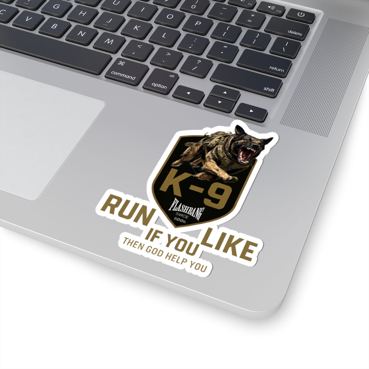 K-9  Run If you Like