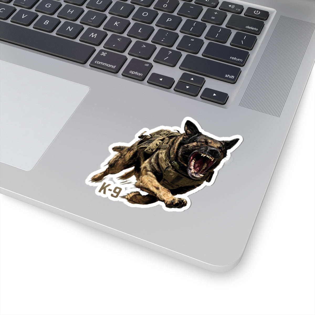 K-9