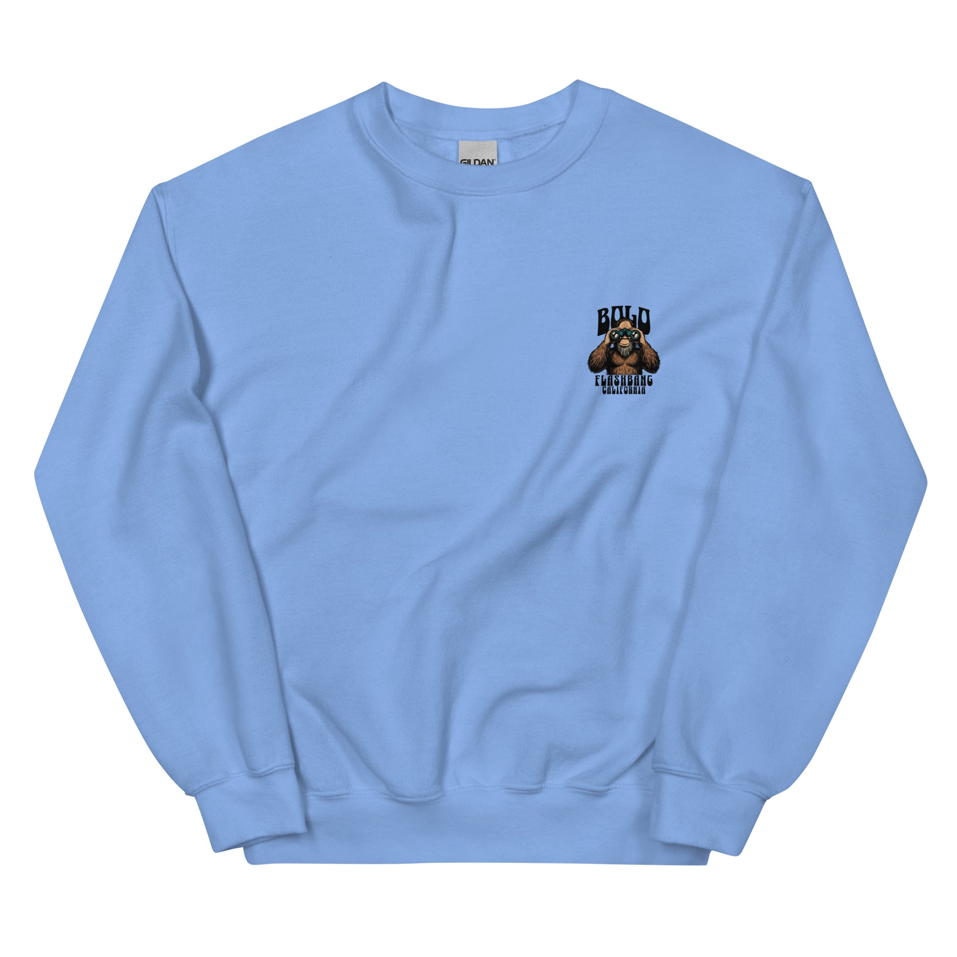 Light blue sweatshirt with a graphic design on the chest against a white background