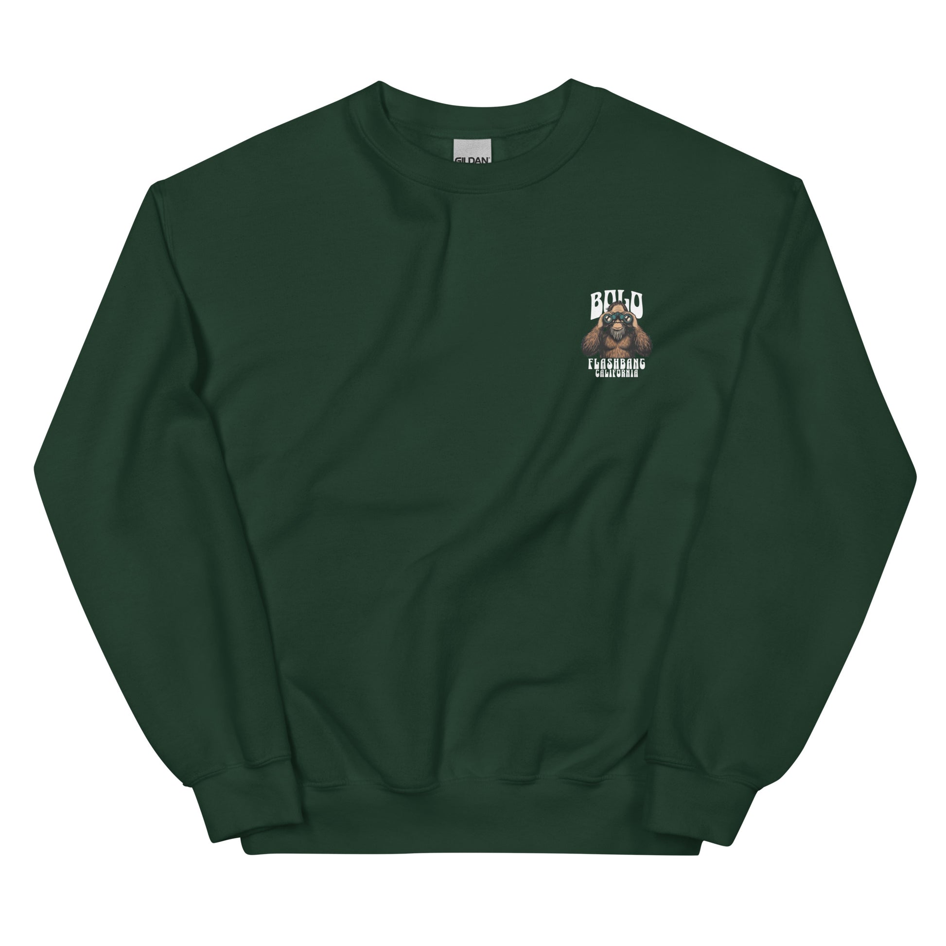 Green sweatshirt with a small logo on the chest against a white background