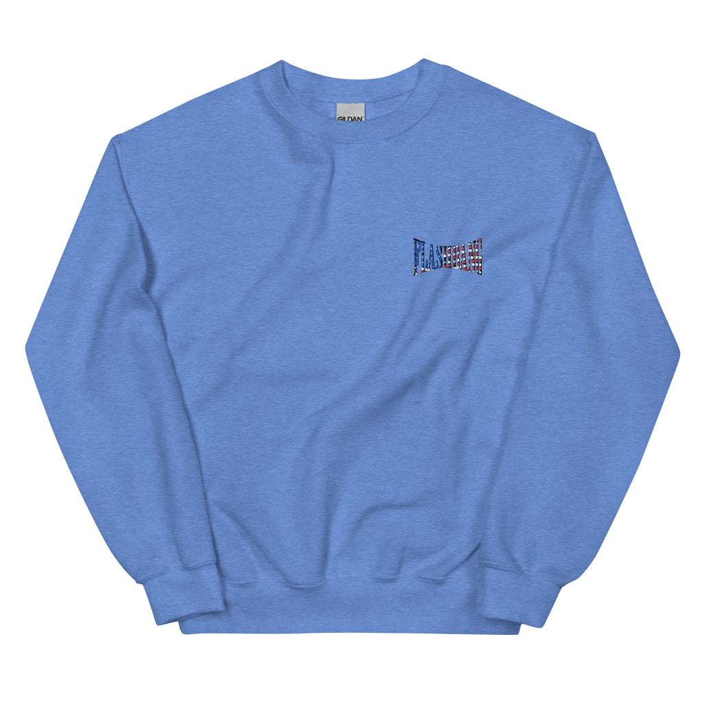 Blue sweatshirt with a small logo on the chest against a white background
