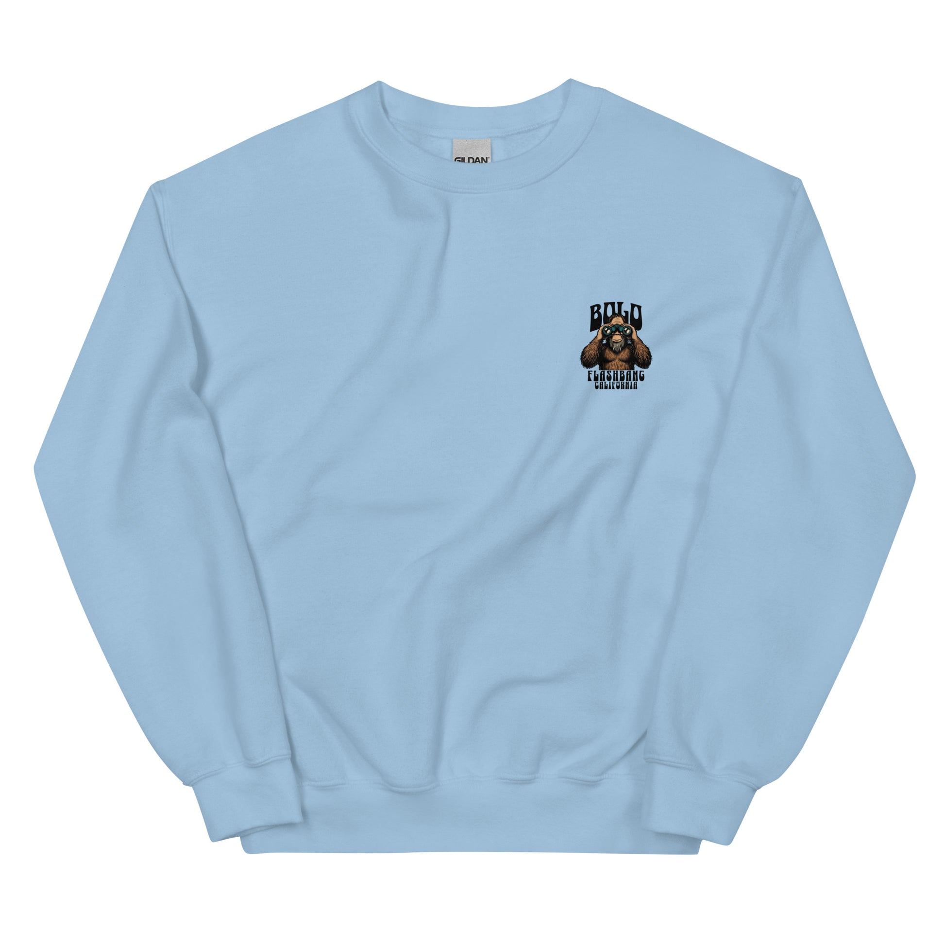 Light blue sweatshirt with a small logo on the chest against a white background