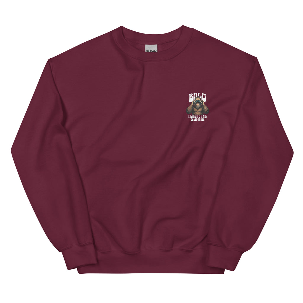 Maroon sweatshirt with a small graphic on the chest against a white background