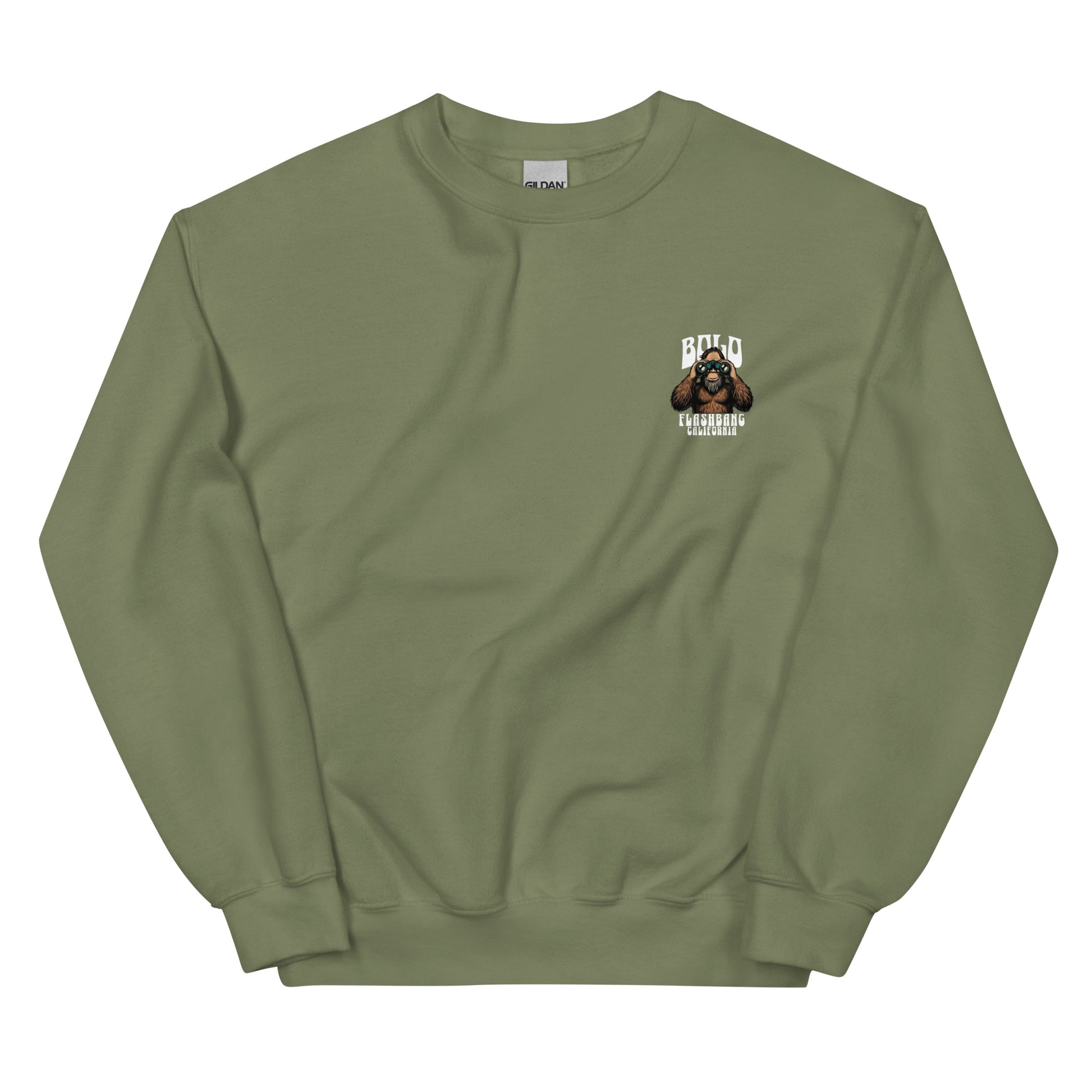 Green sweatshirt with a small graphic on the chest against a white background