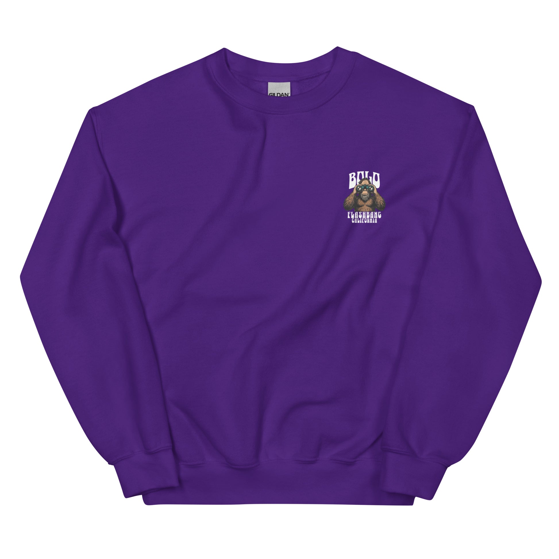 Purple sweatshirt with a graphic design on the chest against a white background